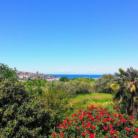 Peaceful View Apartment Koper Extérieur photo