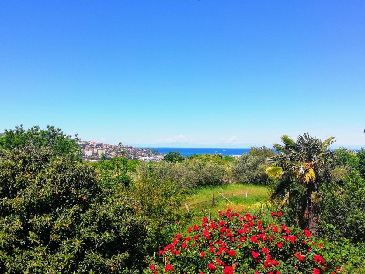 Peaceful View Apartment Koper Extérieur photo
