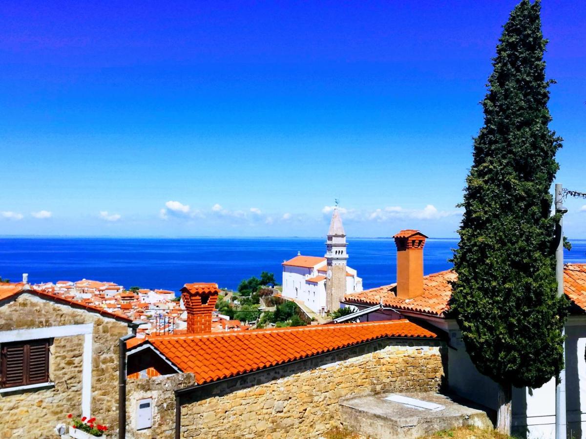 Peaceful View Apartment Koper Extérieur photo
