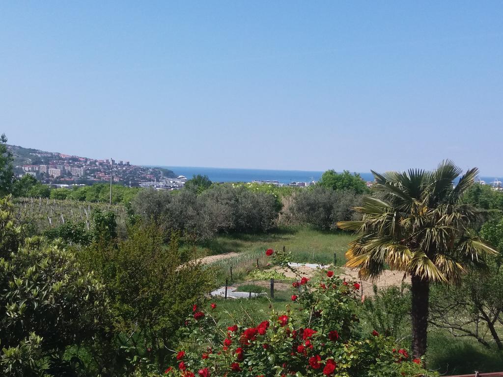 Peaceful View Apartment Koper Extérieur photo